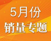 13年05月国内外车市销量专题