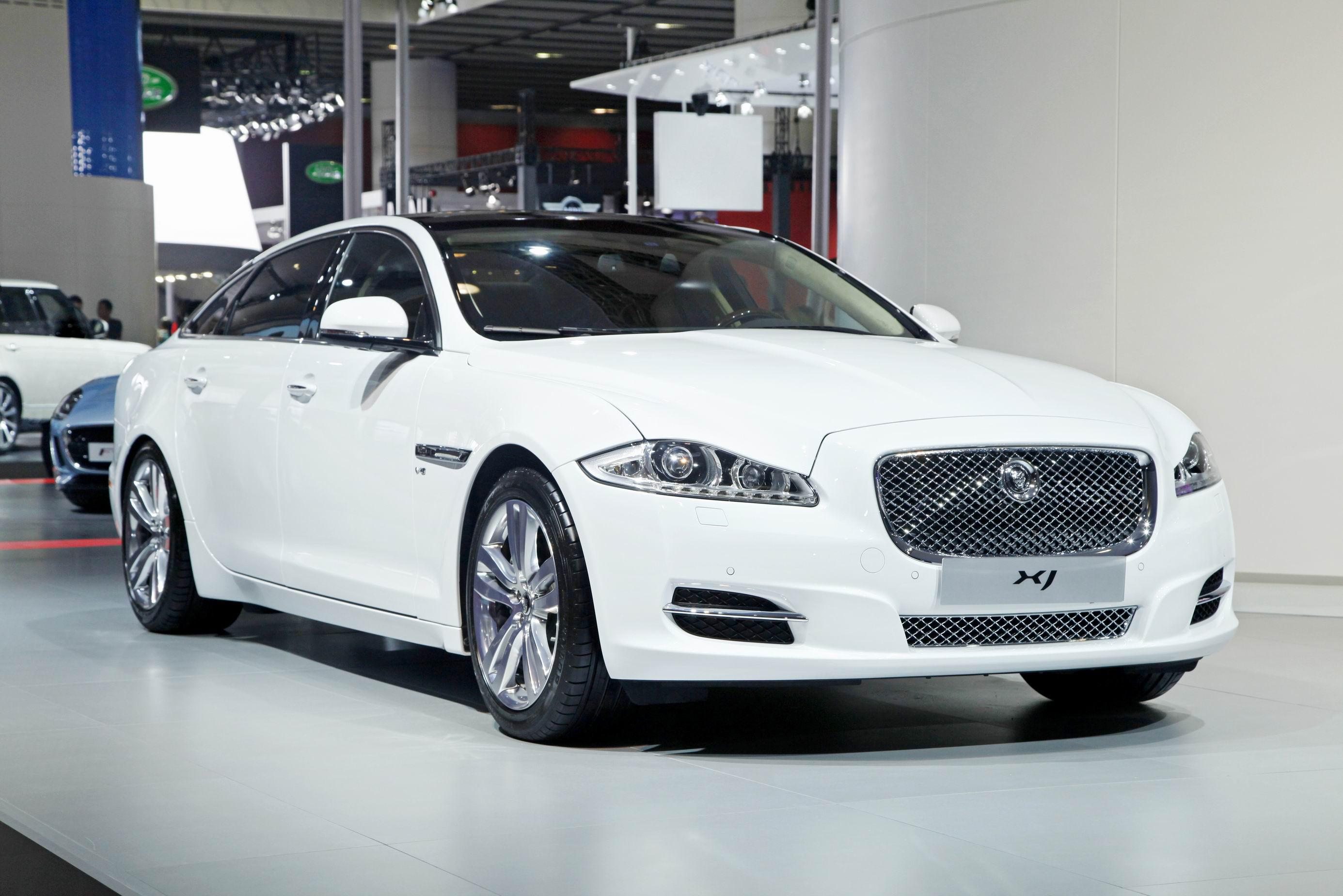 201211240923461article.jpg