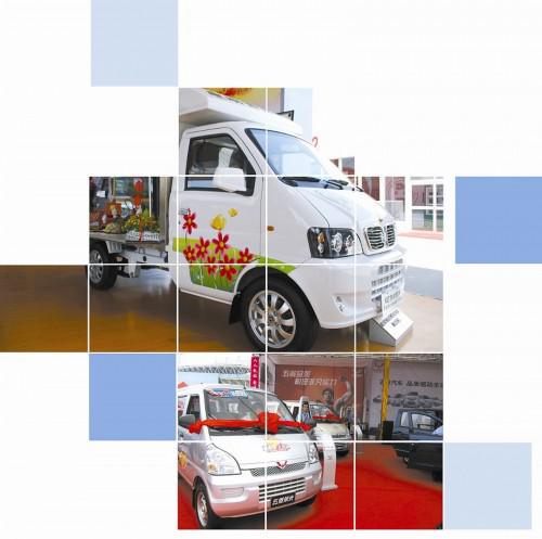 2011:微型物流车 漫步荆棘路