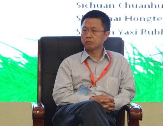 王兆华：政府应出台政策促轮胎业重组