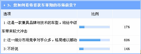 调查：中级车市场竞争激烈 菲翔前景不明朗