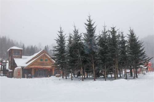 在冰天雪地中，驾驭那只东北（瑞）虎