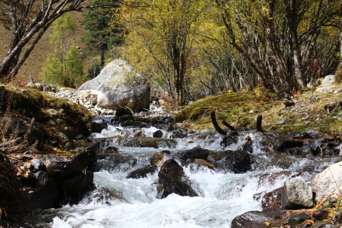 发现无止尽 我们去四川藏区大山里探险
