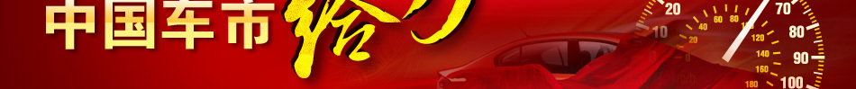 中国车市给力2010