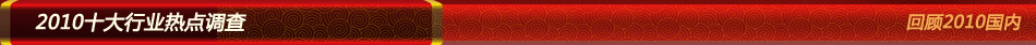 2010十大行业热点