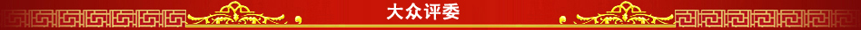 专家评委