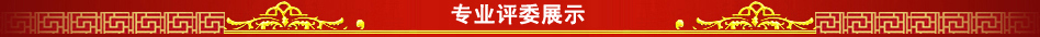 专家评委