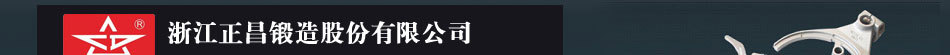 浙江正昌锻造有限公司